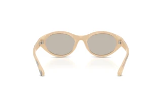 Rückansicht Diesel DL3005U (2008/3)