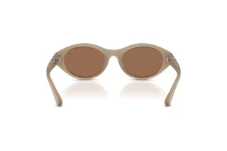 Rückansicht Diesel DL3005U (201273)