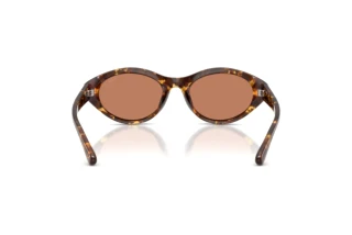 Rückansicht Diesel DL3005U (201373)