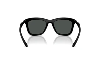 Rückansicht Diesel DL3008U (200287)