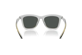 Rückansicht Diesel DL3008U (203087)