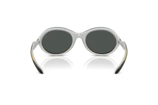 Rückansicht Diesel DL3009U (203087)