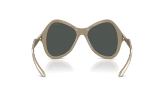 Rückansicht Diesel DL3010U (203587)