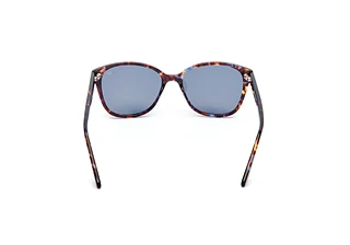 Rückansicht Dieter Bohlen EDITION 6 (2)