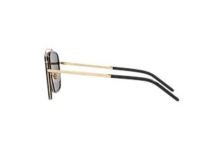 Seitenansicht Dolce & Gabbana DG2220 (02/81)