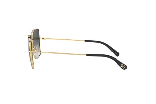 Seitenansicht Dolce & Gabbana DG2242 (13348G)