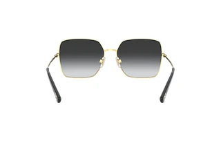 Rückansicht Dolce & Gabbana DG2242 (13348G)