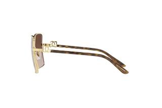 Seitenansicht Dolce & Gabbana DG2279 (02/13)