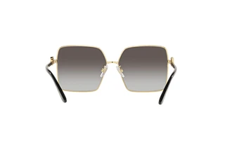 Rückansicht Dolce & Gabbana DG2279 (02/8G)