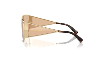 Seitenansicht Dolce & Gabbana DG2305 (13655A)