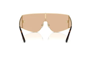 Rückansicht Dolce & Gabbana DG2305 (13655A)