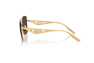 Seitenansicht Dolce & Gabbana DG2310 (02/87)