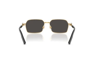 Rückansicht Dolce & Gabbana DG2316 (02/87)