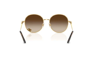 Rückansicht Dolce & Gabbana DG2324 (02/13)