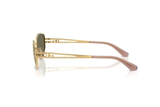 Seitenansicht Dolce & Gabbana DG2338 (02/03)