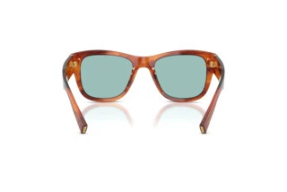 Rückansicht Dolce & Gabbana DG4338 (322180)