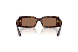 Rückansicht Dolce & Gabbana DG4416 (193573)