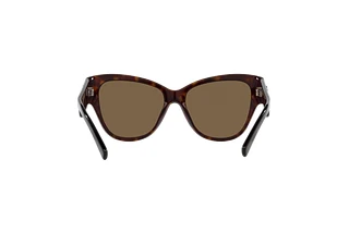 Rückansicht Dolce & Gabbana DG4449 (502/73)