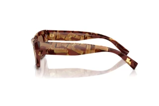 Seitenansicht Dolce & Gabbana DG4462 (346273)