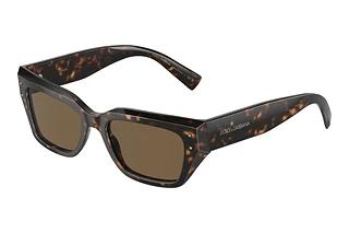 Dolce & Gabbana DG4462 502/73 Dark BrownHavana