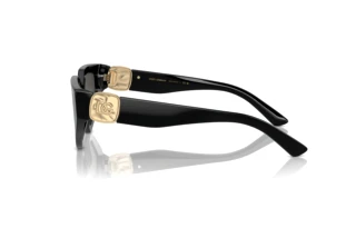 Seitenansicht Dolce & Gabbana DG4469 (501/87)