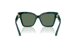 Rückansicht Dolce & Gabbana DG4470 (3460/2)