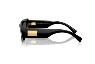 Seitenansicht Dolce & Gabbana DG4479 (501/87)