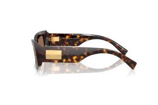 Seitenansicht Dolce & Gabbana DG4479 (502/73)