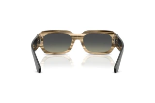 Rückansicht Dolce & Gabbana DG4485 (348411)