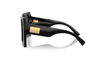 Seitenansicht Dolce & Gabbana DG4490 (501/87)