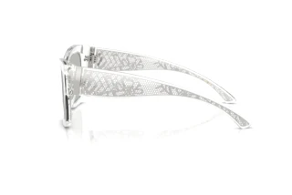 Seitenansicht Dolce & Gabbana DG4493 (31338V)