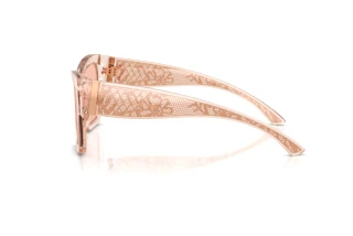 Seitenansicht Dolce & Gabbana DG4493 (314884)