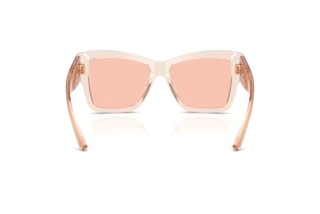 Rückansicht Dolce & Gabbana DG4493 (314884)