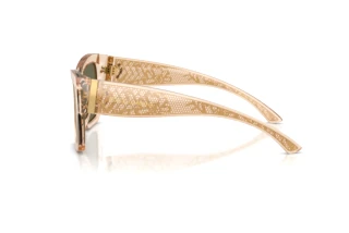 Seitenansicht Dolce & Gabbana DG4493 (343203)