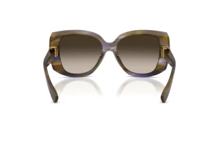 Rückansicht Dolce & Gabbana DG4495 (344713)