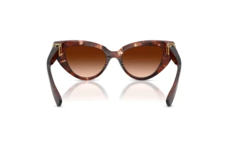 Rückansicht Dolce & Gabbana DG4497 (322274)