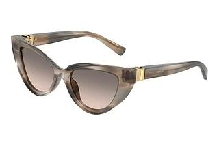 Dolce & Gabbana DG 4497 34493B