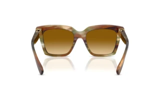 Rückansicht Dolce & Gabbana DG4498 (34462L)