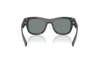 Rückansicht Dolce & Gabbana DG4509 (3090/1)