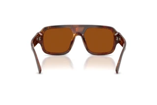 Rückansicht Dolce & Gabbana DG4516 (345673)