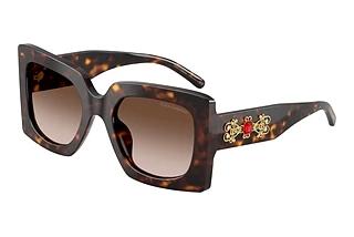 Dolce & Gabbana DG4525B 502/13 Gradient BrownHavana