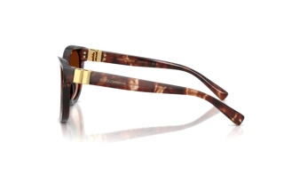 Seitenansicht Dolce & Gabbana DG4533 (322274)