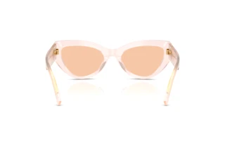 Rückansicht Dolce & Gabbana DG4536 (304173)