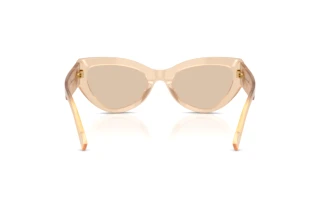 Rückansicht Dolce & Gabbana DG4536 (308993)
