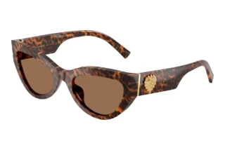 Vorderansicht Dolce & Gabbana DG4536 (347073)