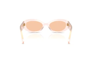 Rückansicht Dolce & Gabbana DG4537 (304173)