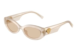 Vorderansicht Dolce & Gabbana DG4537 (342093)