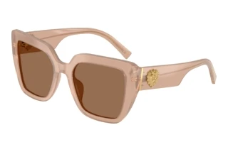 Vorderansicht Dolce & Gabbana DG4538 (304273)