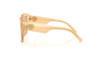 Seitenansicht Dolce & Gabbana DG4538 (308993)