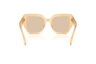 Rückansicht Dolce & Gabbana DG4538 (308993)